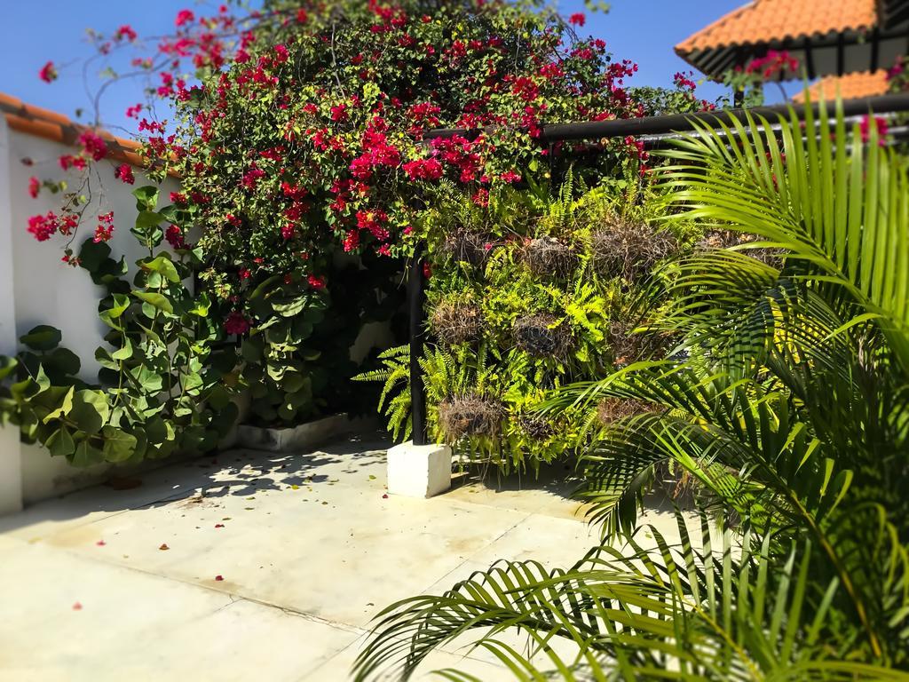 Bed and Breakfast Casa Ines Santa Marta  Exteriér fotografie