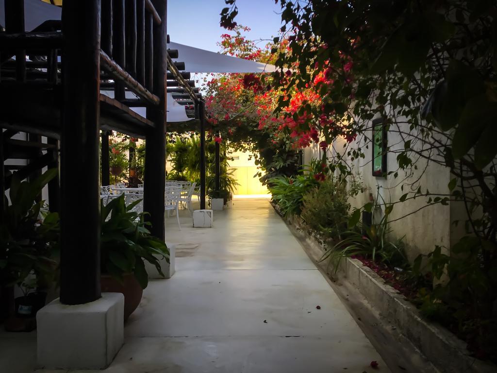 Bed and Breakfast Casa Ines Santa Marta  Exteriér fotografie